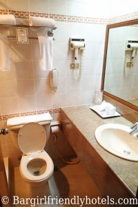 Executive Plaza Hotel Superior Double Room bathroom toilet and sink