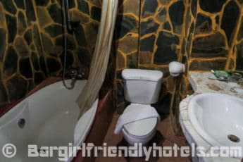 bathroom-with-a-jungle-look-inside-tiger-inn-hotel