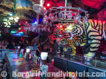 drinking-at-the-bar-of-the-tiger-inn-hotel